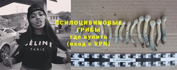 прущие грибы Верхний Тагил
