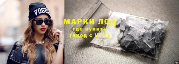 прущие грибы Верхний Тагил