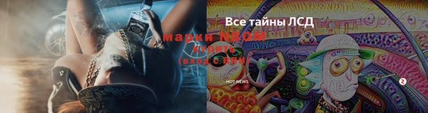 твердый Верея