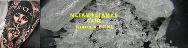 прущие грибы Верхний Тагил