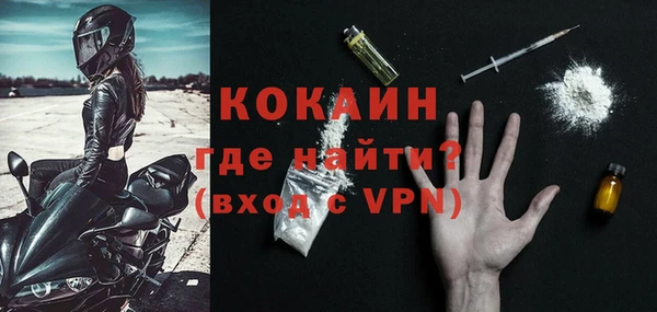 прущие грибы Верхний Тагил