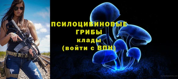 твердый Верея