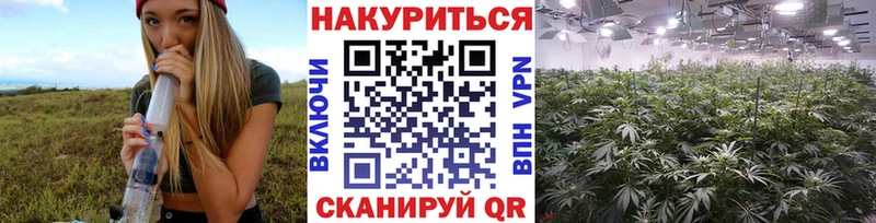 Каннабис OG Kush  Нея 